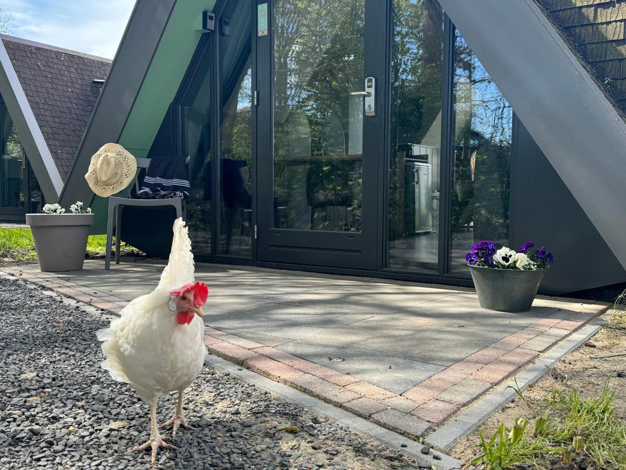 Hotelhuisjes Medemblik Wieringerwerf Ngoại thất bức ảnh