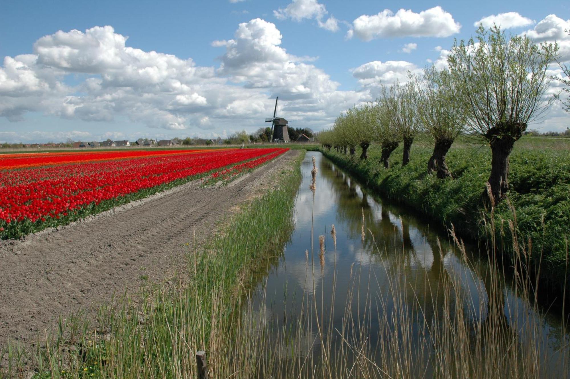 Hotelhuisjes Medemblik Wieringerwerf Ngoại thất bức ảnh